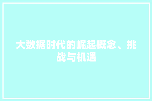 大数据时代的崛起概念、挑战与机遇