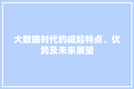 大数据时代的崛起特点、优势及未来展望