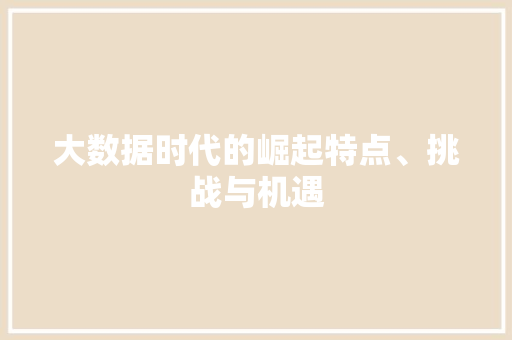 大数据时代的崛起特点、挑战与机遇