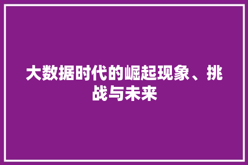 大数据时代的崛起现象、挑战与未来  第1张