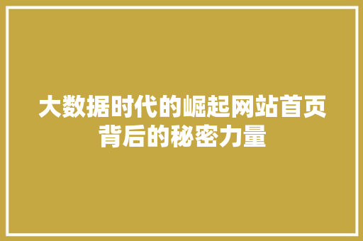 大数据时代的崛起网站首页背后的秘密力量