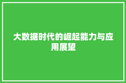 大数据时代的崛起能力与应用展望