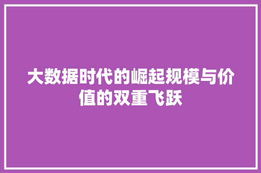 大数据时代的崛起规模与价值的双重飞跃