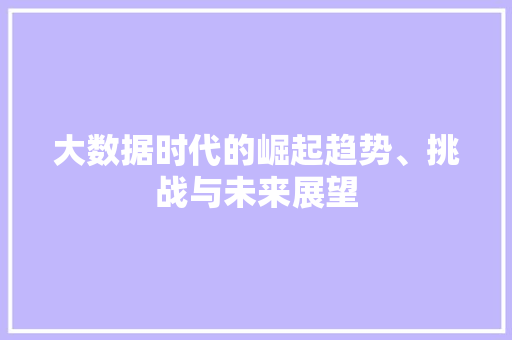 大数据时代的崛起趋势、挑战与未来展望