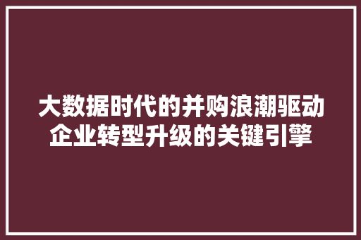 大数据时代的并购浪潮驱动企业转型升级的关键引擎