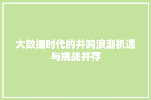 大数据时代的并购浪潮机遇与挑战并存  第1张