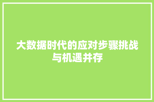 大数据时代的应对步骤挑战与机遇并存  第1张
