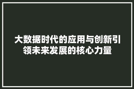 大数据时代的应用与创新引领未来发展的核心力量  第1张