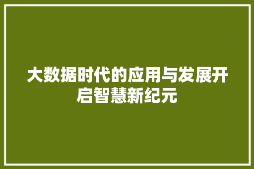 大数据时代的应用与发展开启智慧新纪元  第1张