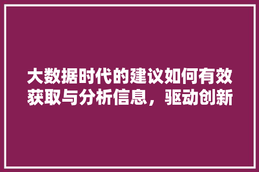 大数据时代的建议如何有效获取与分析信息，驱动创新与发展  第1张