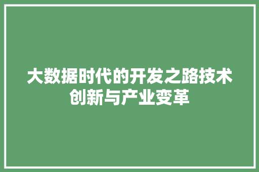 大数据时代的开发之路技术创新与产业变革