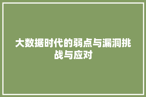 大数据时代的弱点与漏洞挑战与应对