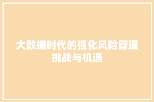 大数据时代的强化风险管理挑战与机遇