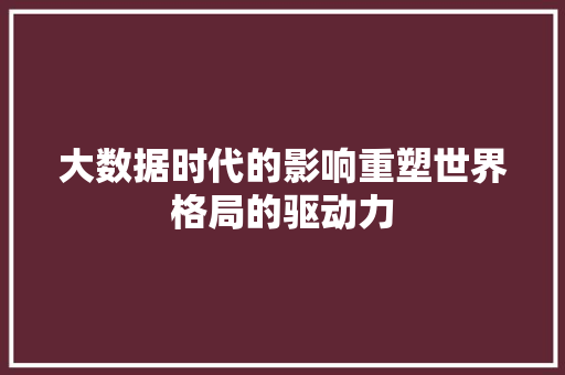 大数据时代的影响重塑世界格局的驱动力  第1张