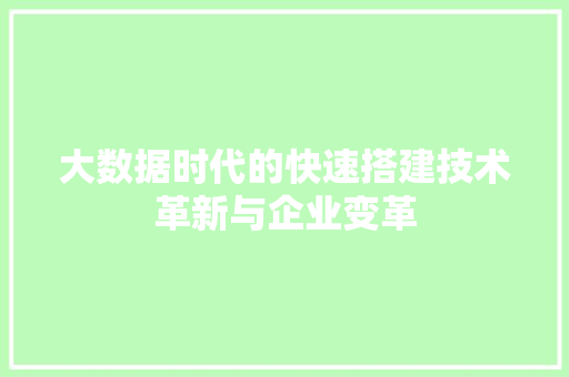 大数据时代的快速搭建技术革新与企业变革  第1张