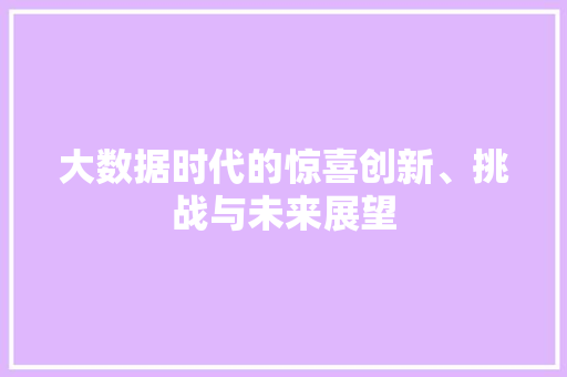 大数据时代的惊喜创新、挑战与未来展望  第1张
