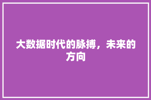 大数据时代的脉搏，未来的方向  第1张