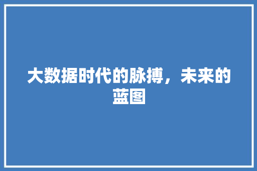 大数据时代的脉搏，未来的蓝图  第1张