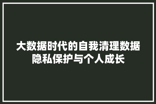 大数据时代的自我清理数据隐私保护与个人成长  第1张