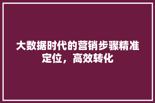 大数据时代的营销步骤精准定位，高效转化