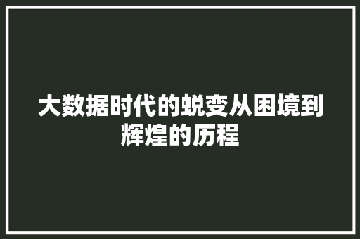 大数据时代的蜕变从困境到辉煌的历程  第1张