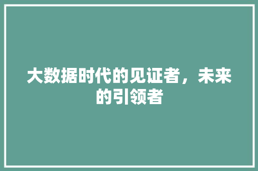 大数据时代的见证者，未来的引领者