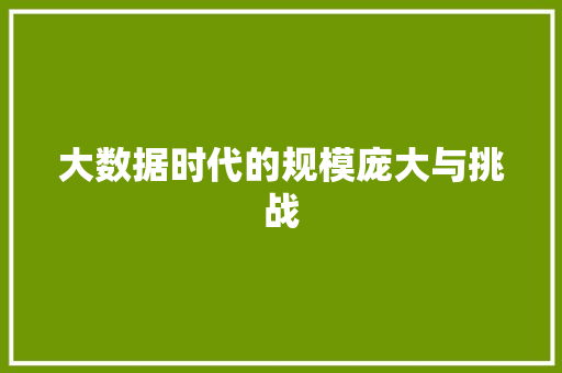 大数据时代的规模庞大与挑战