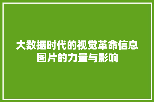 大数据时代的视觉革命信息图片的力量与影响  第1张