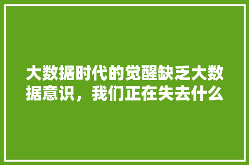 大数据时代的觉醒缺乏大数据意识，我们正在失去什么