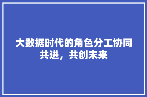 大数据时代的角色分工协同共进，共创未来