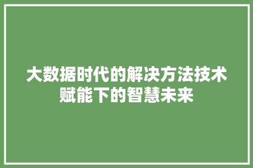 大数据时代的解决方法技术赋能下的智慧未来