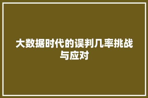 大数据时代的误判几率挑战与应对