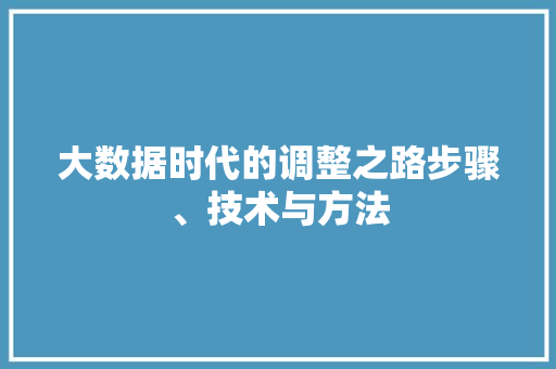大数据时代的调整之路步骤、技术与方法  第1张