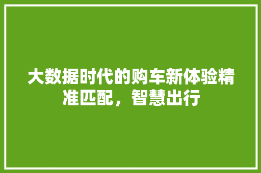 大数据时代的购车新体验精准匹配，智慧出行  第1张