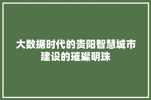 大数据时代的贵阳智慧城市建设的璀璨明珠  第1张
