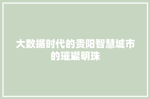 大数据时代的贵阳智慧城市的璀璨明珠