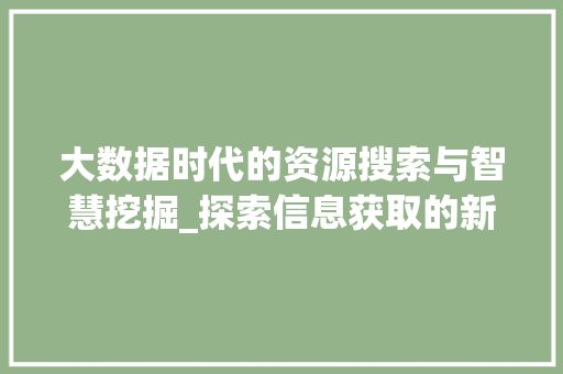 大数据时代的资源搜索与智慧挖掘_探索信息获取的新纪元  第1张