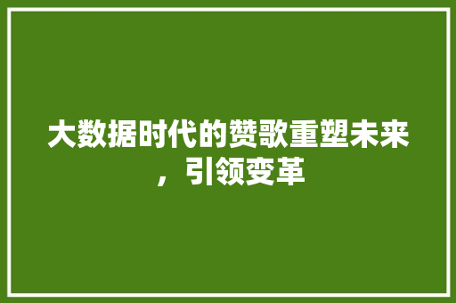 大数据时代的赞歌重塑未来，引领变革  第1张