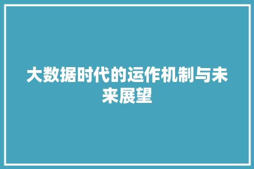大数据时代的运作机制与未来展望  第1张