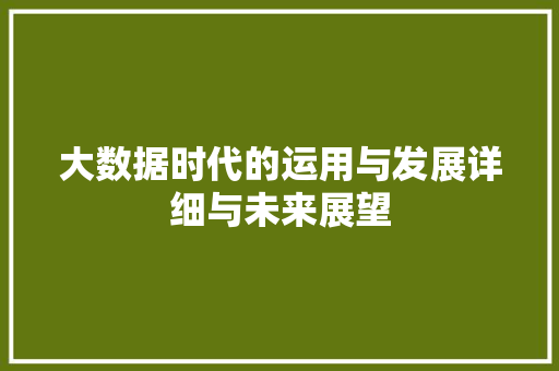 大数据时代的运用与发展详细与未来展望  第1张
