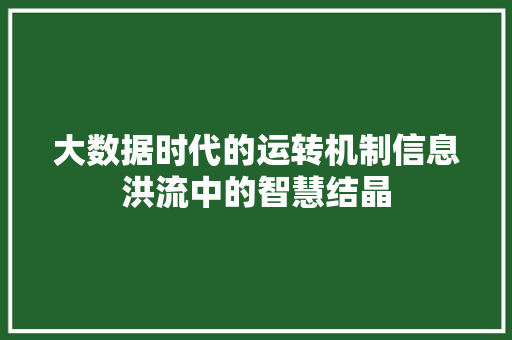 大数据时代的运转机制信息洪流中的智慧结晶  第1张