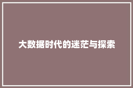 大数据时代的迷茫与探索  第1张