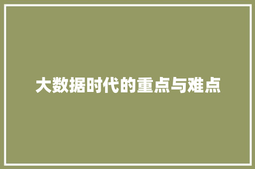大数据时代的重点与难点  第1张