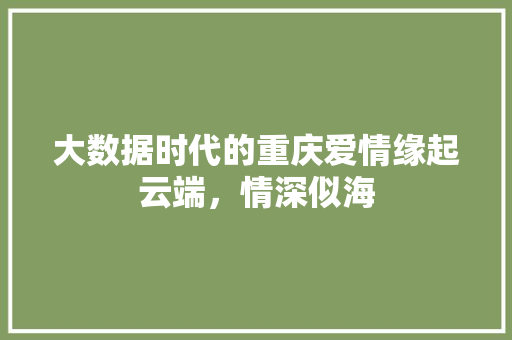 大数据时代的重庆爱情缘起云端，情深似海  第1张