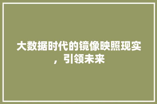 大数据时代的镜像映照现实，引领未来  第1张