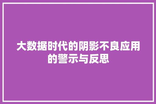 大数据时代的阴影不良应用的警示与反思