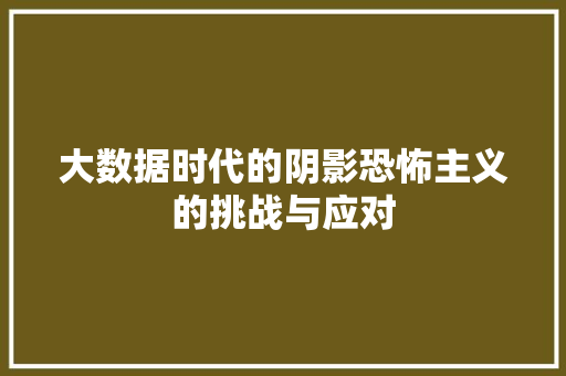 大数据时代的阴影恐怖主义的挑战与应对