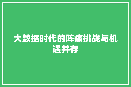 大数据时代的阵痛挑战与机遇并存  第1张