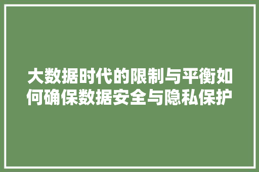 大数据时代的限制与平衡如何确保数据安全与隐私保护  第1张