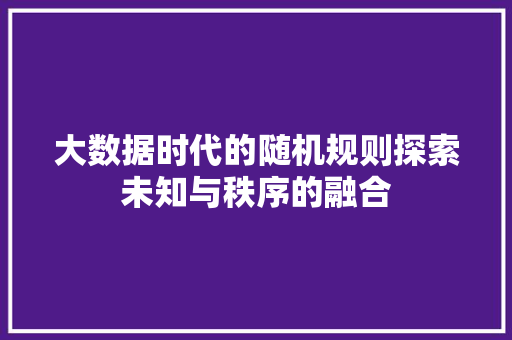 大数据时代的随机规则探索未知与秩序的融合